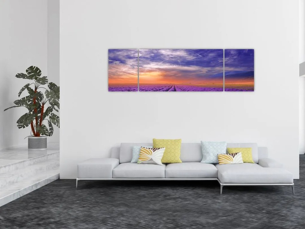 Obraz lawendowego pola (170x50 cm)