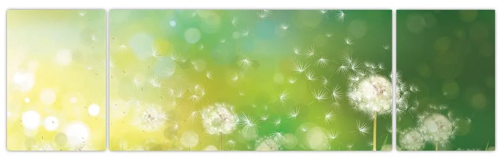Obraz - Kwitnące mlecze (170x50 cm)