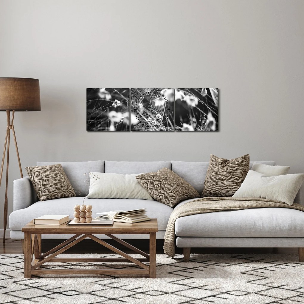 Obraz - Pajęczyna na łące (z zegarem) (90x30 cm)