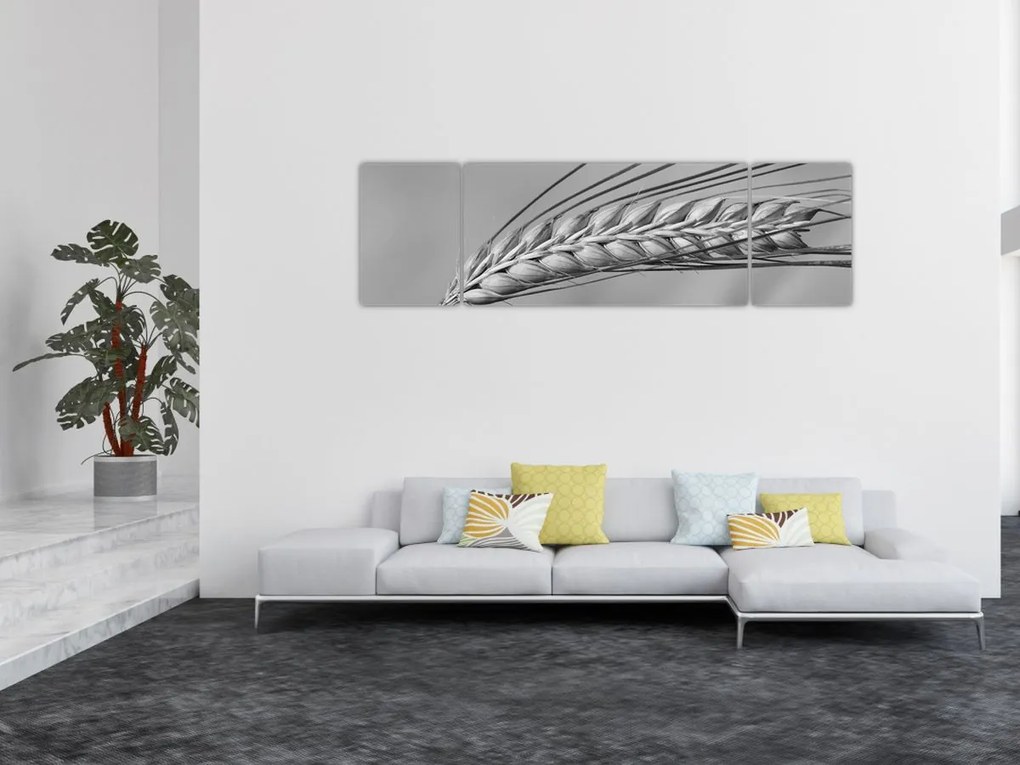Obraz - Pszenica, czarno - biały (170x50 cm)
