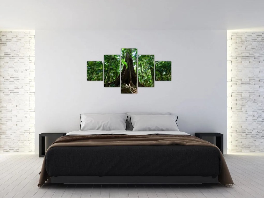 Obraz - Korzenie drzewa (125x70 cm)