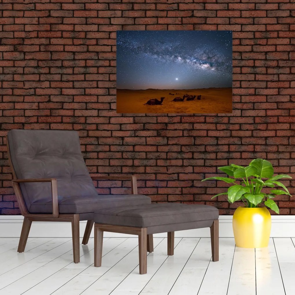 Obraz - Noc na pustyni (70x50 cm)