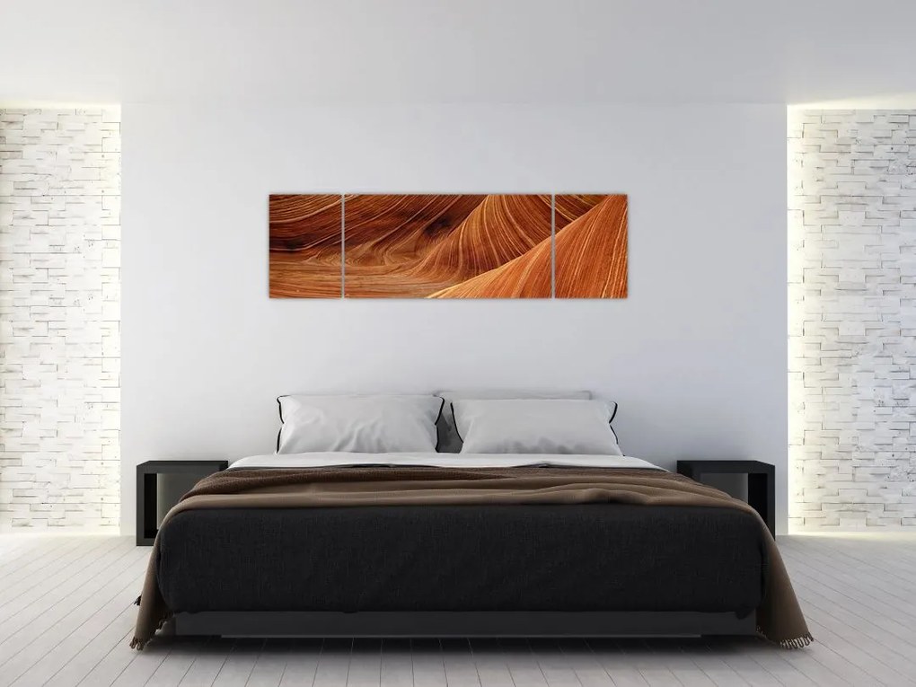 Obraz - Czerwony piasek (170x50 cm)