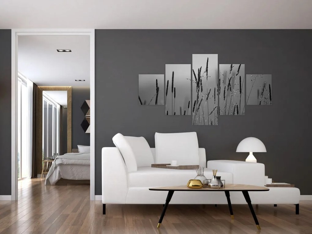 Obraz - źdźbła trawy (125x70 cm)