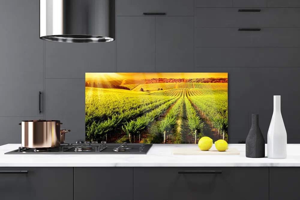 Szkło do Kuchni na Ścianę Złociste Pole o Poranku