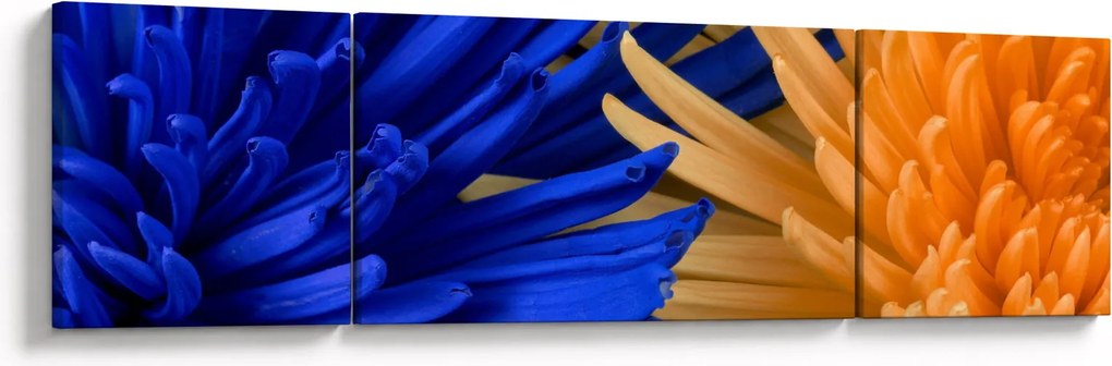 Szczegółowy obraz kwiatów (170x50 cm)