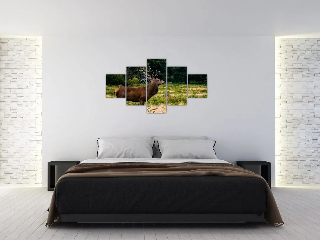 Obraz jelenia (125x70 cm)