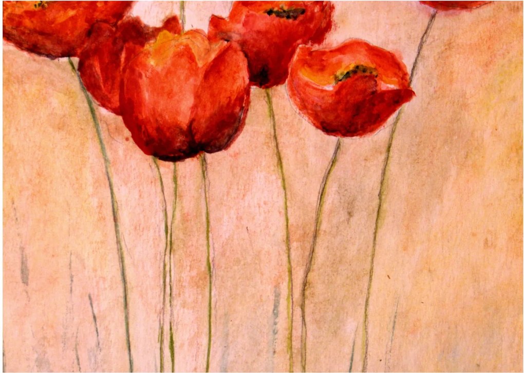 Obraz - Czerwone tulipany (70x50 cm)