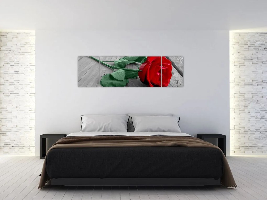 Obraz - Czerwona róża z zieloną łodygą (170x50 cm)