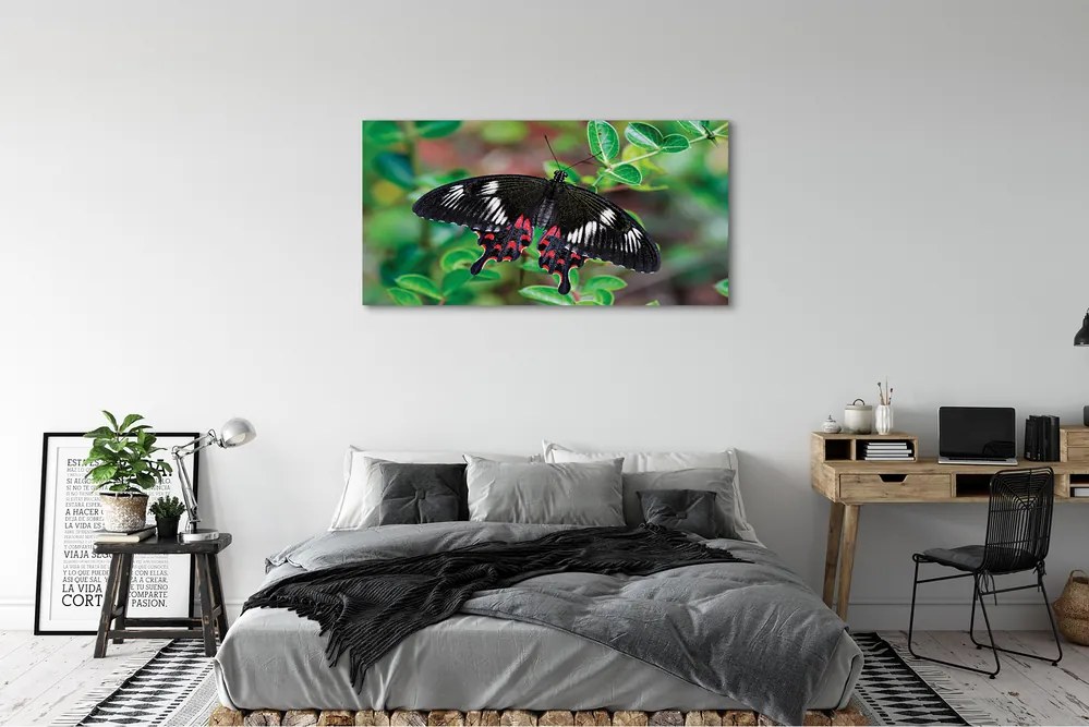 Obraz canvas na ścianę Liście i Kolorowy Motyl