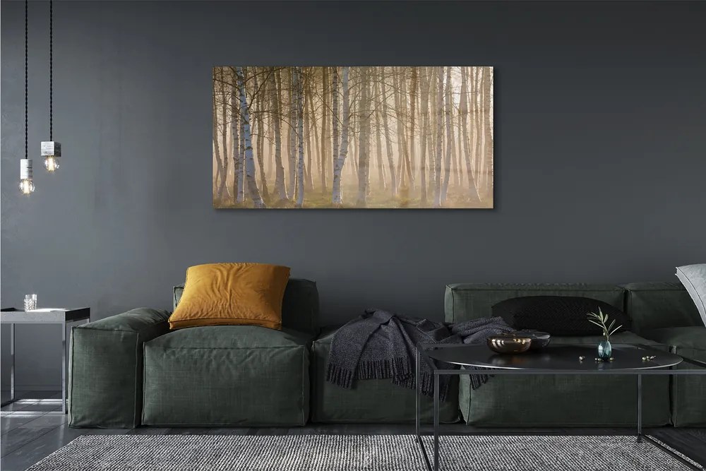 Obraz drukowany na płótnie Wschód Słońca w Lesie