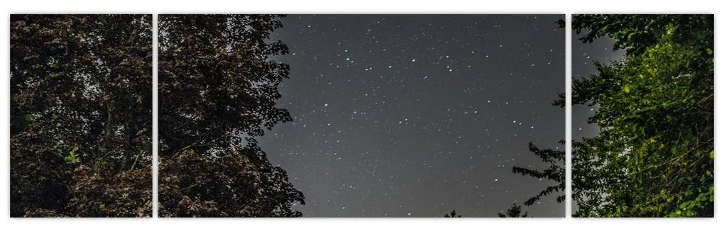 Obraz nocnego nieba (170x50 cm)