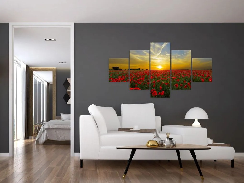 Obraz pola maków (125x70 cm)