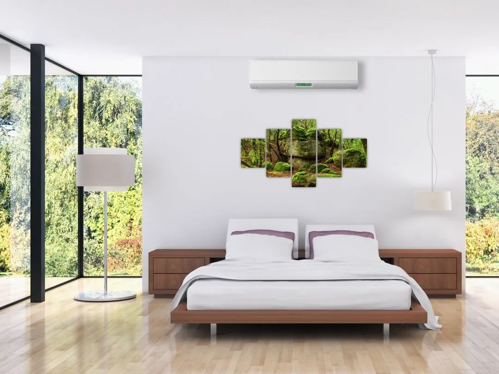 Obraz magicznego lasu (125x70 cm)