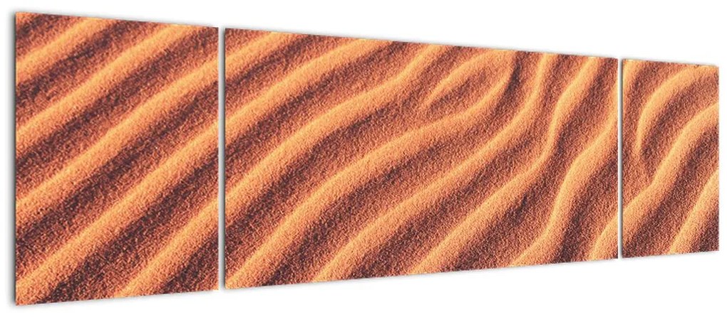 Obraz pustyni (170x50 cm)