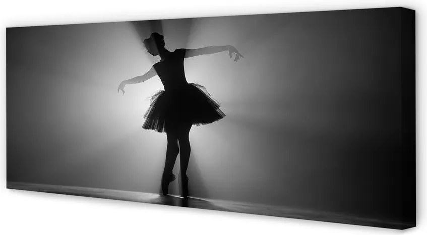 Zdjęcie na płótnie Baletnica na Szarym Tle