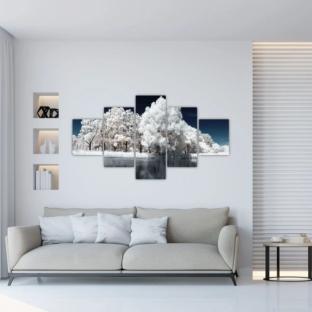 Obraz - Śnieżnobiałe drzewa (125x70 cm)