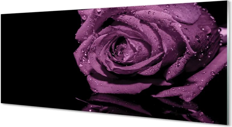 Panel nad Blat Kuchenny Szlachetna Fioletowa Róża