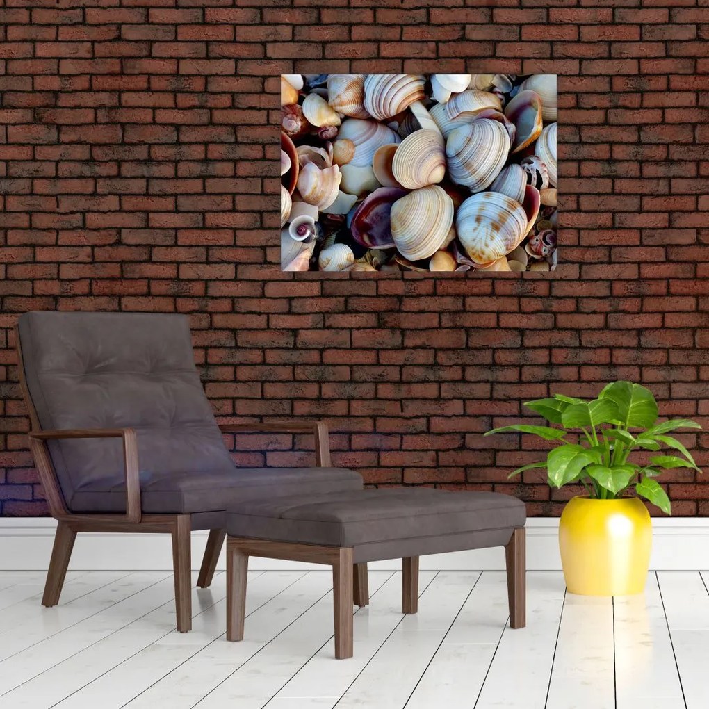 Obraz muszelek (70x50 cm)