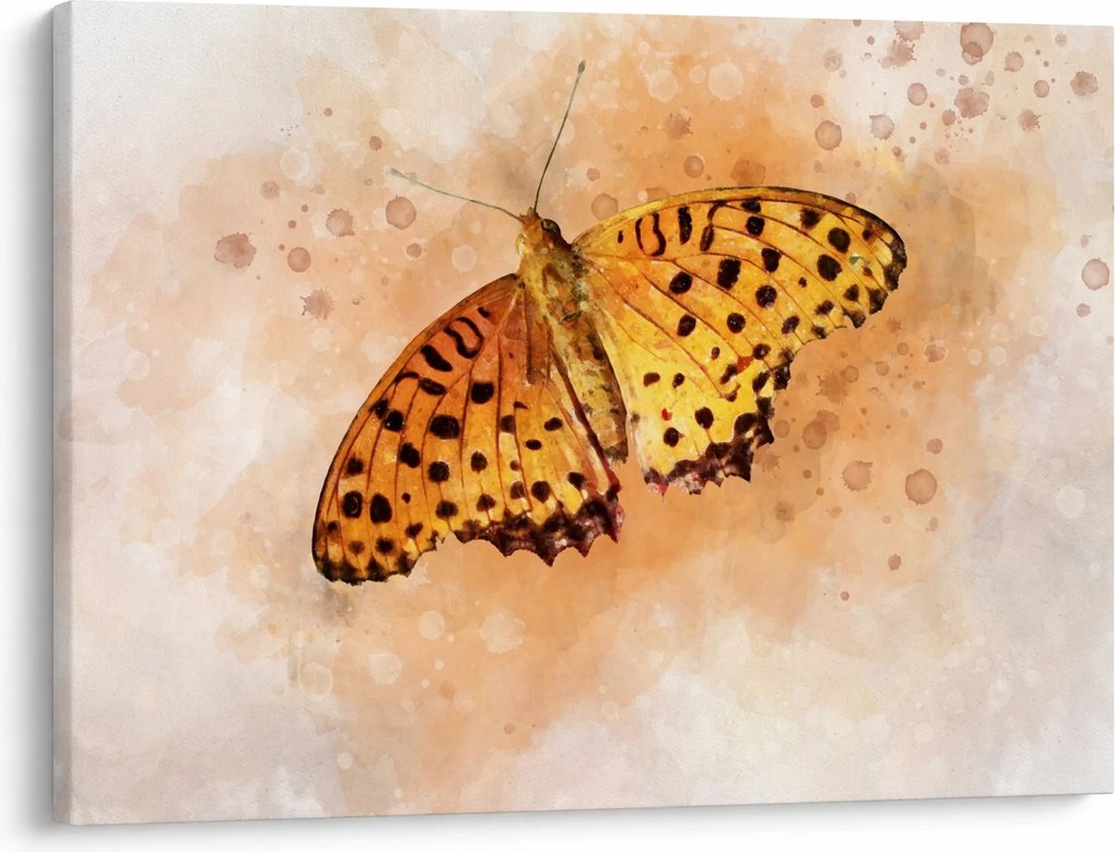 Obraz - Pomarańczowy motyl, akwarela (70x50 cm)