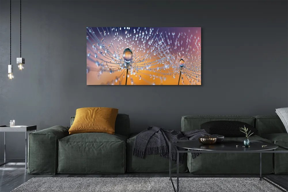 Obraz na płótnie Rosa na Parasolkach Dmuchawca