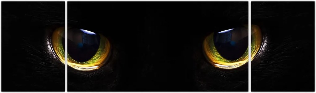 Obraz - Kocie oczy (170x50 cm)