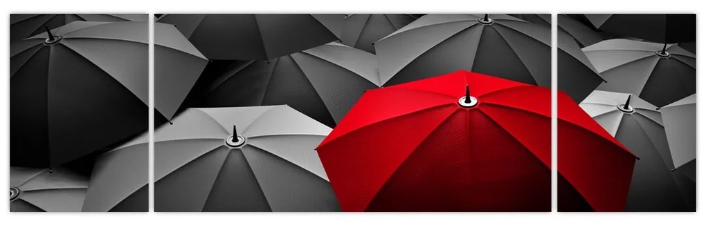 Obraz otwartych parasoli (170x50 cm)