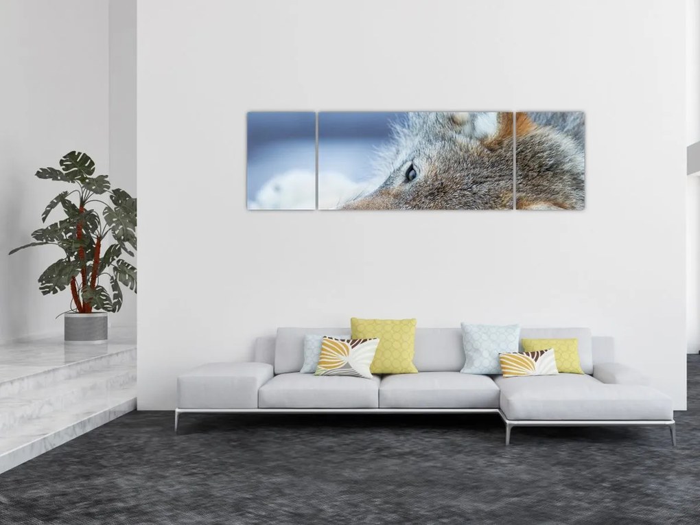 Obraz - Wilk (170x50 cm)