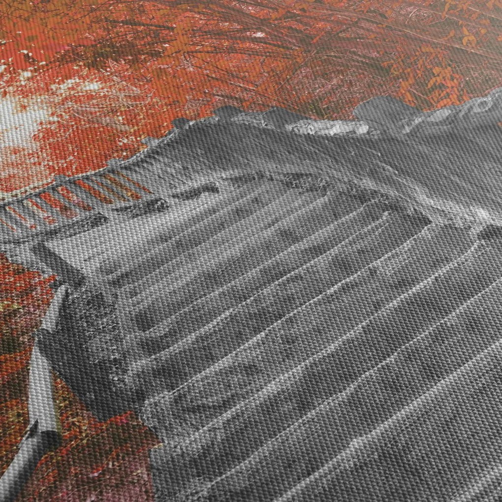 Obraz - Schody w naturze, pomarańczowy (170x50 cm)