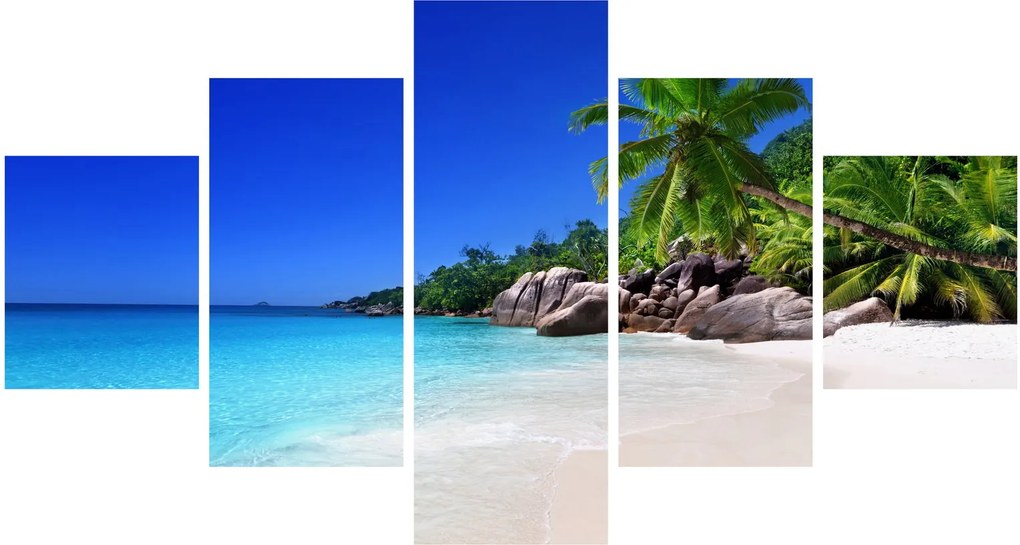 Obraz plaży na wyspie Praslin (125x70 cm)
