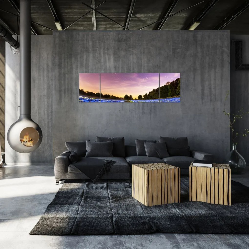 Obraz kolorowego pola (170x50 cm)