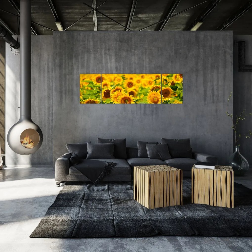 Obraz - Słoneczniki (170x50 cm)