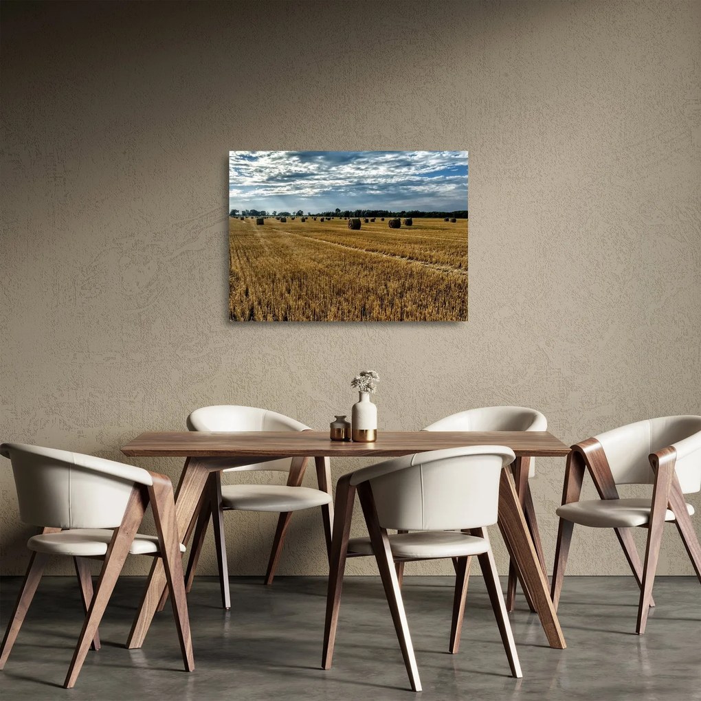 Obraz na szkle - zebrane pole zboża (70x50 cm)