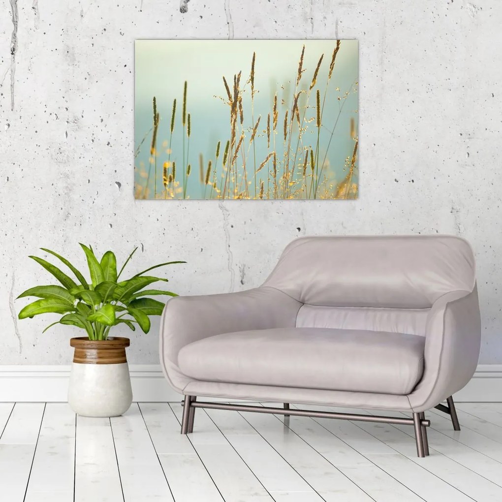 Obraz - Łąkowa chwila (70x50 cm)