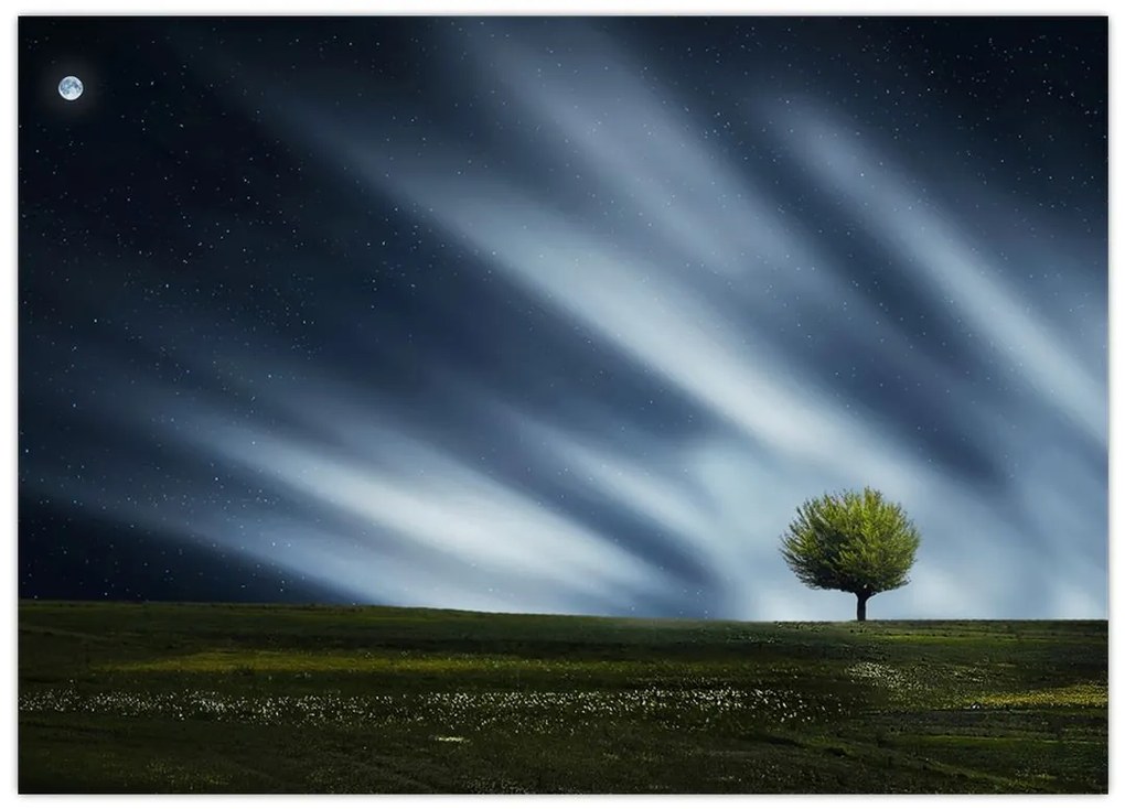 Obraz na szkle zorzy polarnej nad wrzosowiskami (70x50 cm)