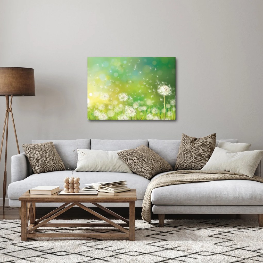 Obraz - Kwitnące mlecze (70x50 cm)
