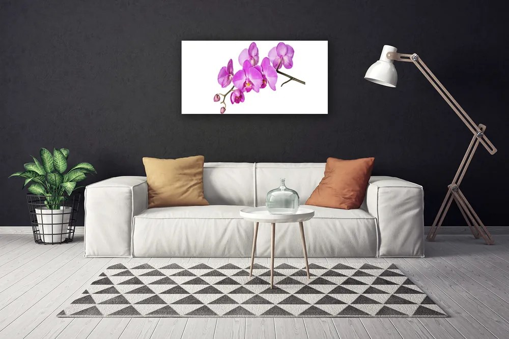 Obraz Canvas Storczyk Orchidea Kwiaty