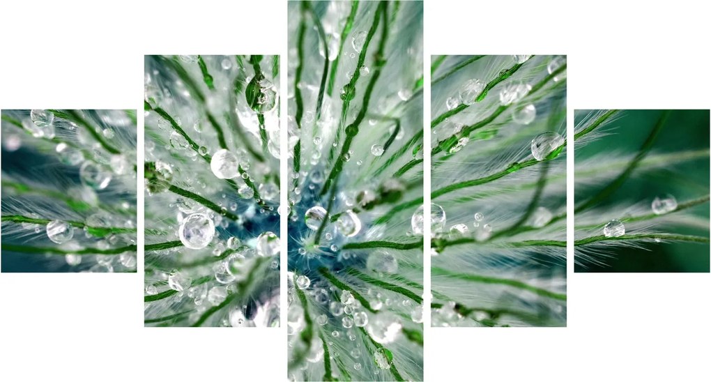 Obraz - Makro zdjęcie kwiatu (125x70 cm)