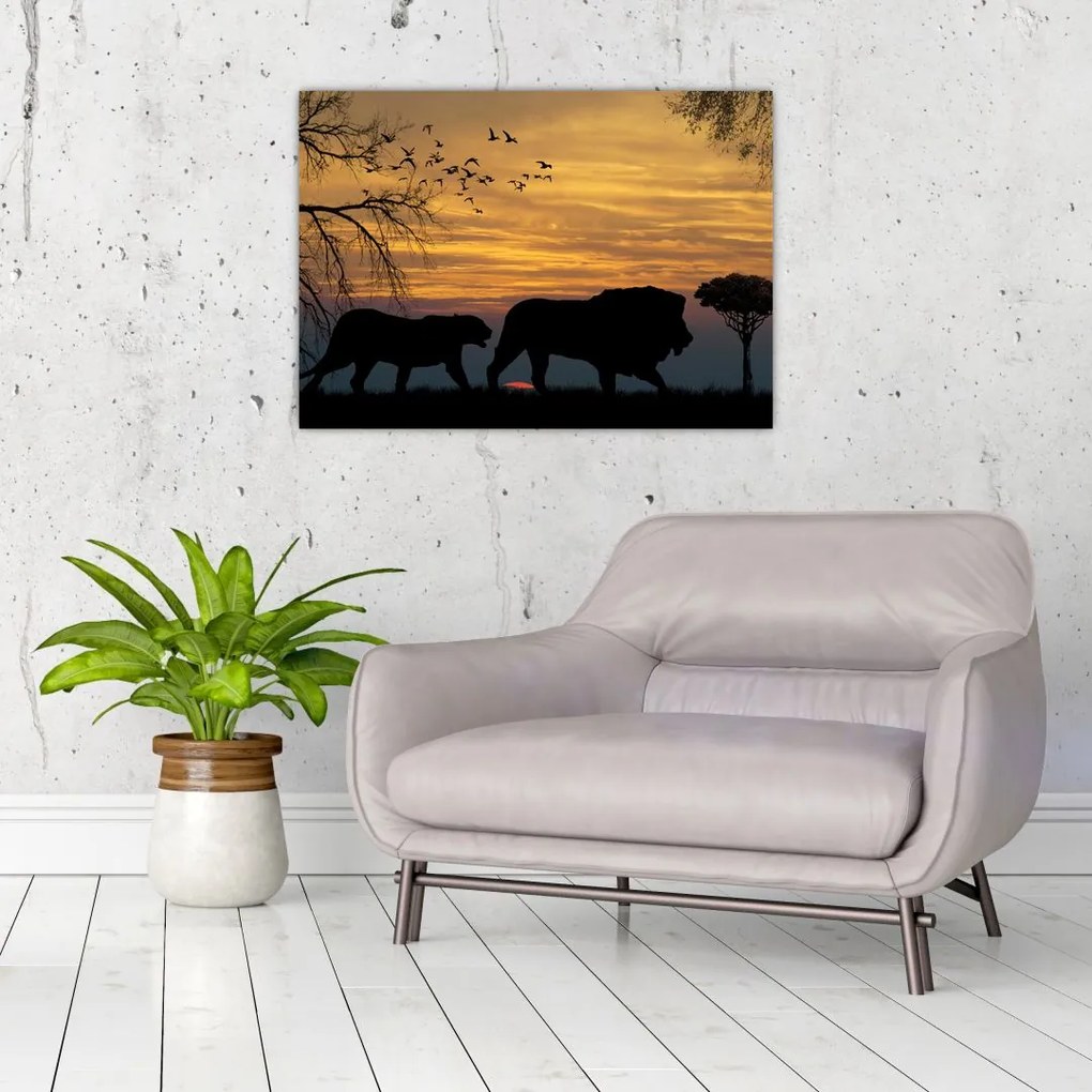 Obraz na szkle - Safari (70x50 cm)