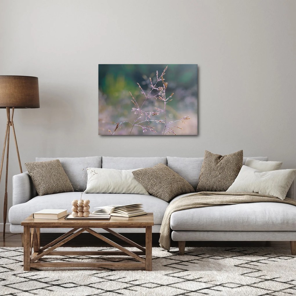 Obraz - Szczegół trawy (70x50 cm)