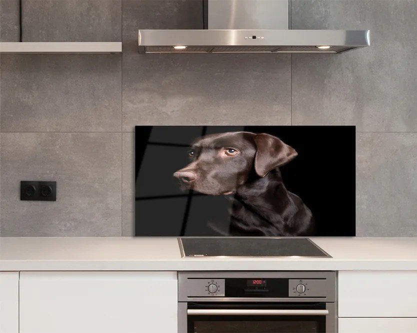 Panel szklany do Kuchni Wierny Brązowy Przyjaciel