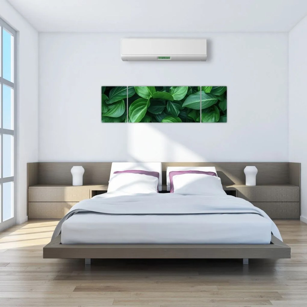 Obraz - Zielone liście (170x50 cm)