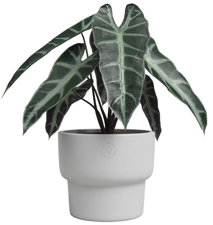 Ceramiczna ręcznie wykonana doniczka ø 17 cm Echo – Artevasi