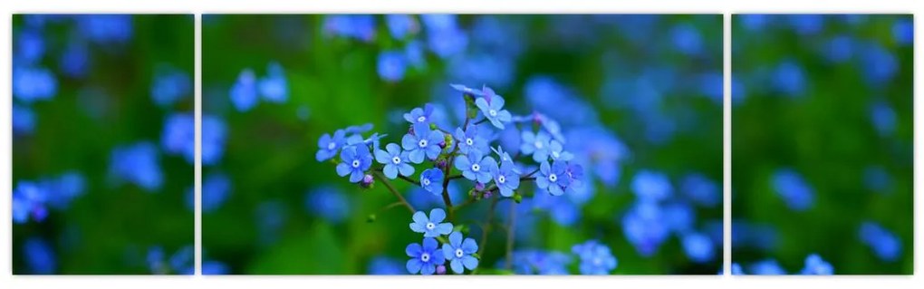 Obraz niebieskich kwiatów (170x50 cm)