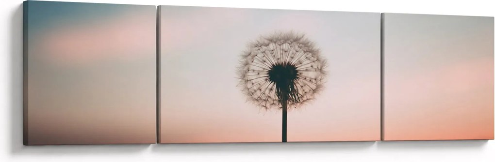 Obraz - Trzymam cię, dmuchawcu (170x50 cm)