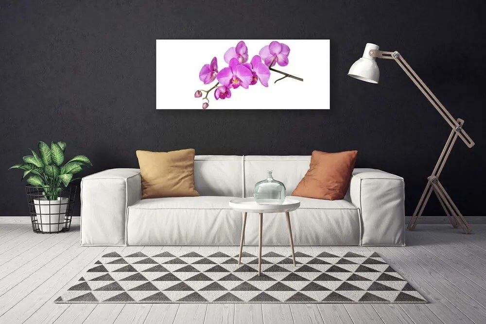 Obraz Canvas Storczyk Orchidea Kwiaty