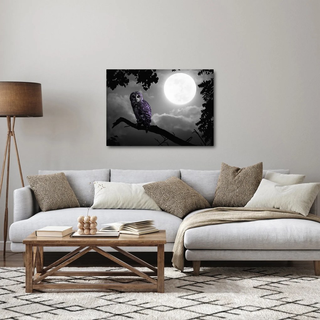 Obraz - Nocna sowa, fioletowa sowa (70x50 cm)