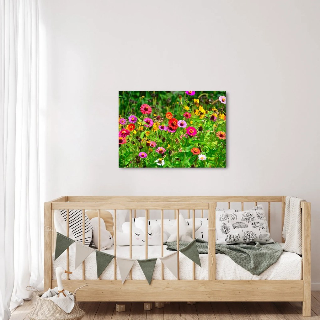 Obraz kwiatów polnych (70x50 cm)