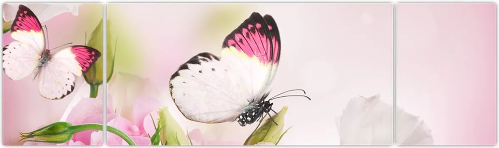 Obraz - Motyl (170x50 cm)