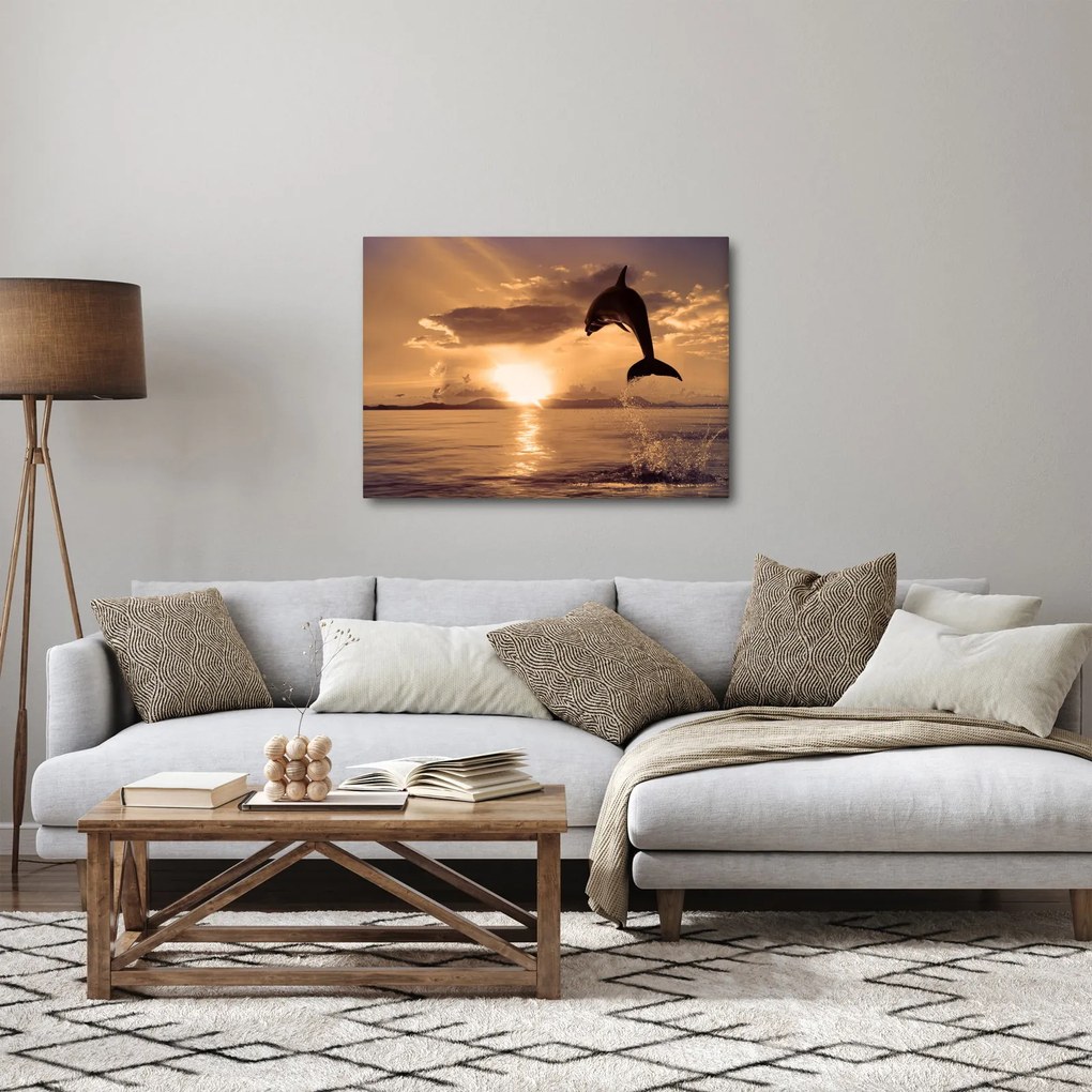 Obraz - Delfin o zachodzie słońca (70x50 cm)